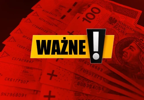 3386 zł miesięcznie bez kryterium dochodowego. Pieniądze nie trafiają jednak do każdego i trzeba złożyć wniosek