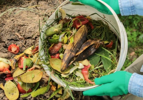 Chodzą po domach, zaglądają na posesje i robią zdjęcia. Kara może wynieść nawet 5 tys. zł