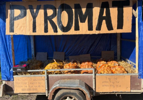 40 zł na 