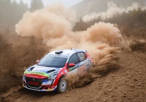 8 na starcie, 8 na mecie. Peugeot 208 Rally4 zdominował swoją kategorię