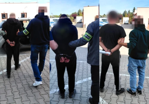 Nielegalna uprawa konopi w gminie Łęczna. Trzej mężczyźni aresztowani
