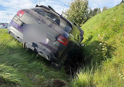 Owad w kabinie, Citroën w rowie. Nie próbuj usuwać go podczas jazdy