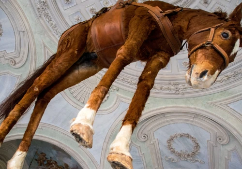 Maurizio Cattelan debiutuje w Berlinie. "Zło jest groźne, gdy wydaje się sympatyczne"