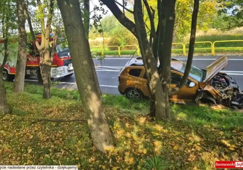 Zjechał z drogi i uderzył w barierki