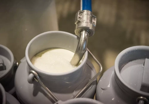 Cena mleka pod presją, a koszty wystrzeliły. Dla mleczarni robi się niebezpiecznie