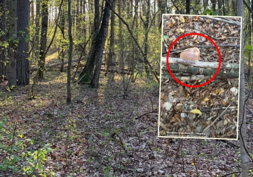 Pokazała, co zastała w lesie. 