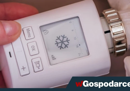 Czy zimny dom szkodzi zdrowiu? Jaką temperaturę ustawić?