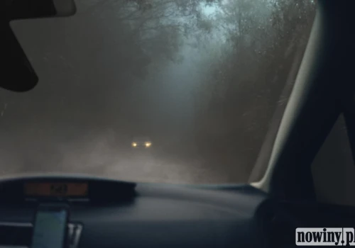 Pilny alert dla regionu. Gęste mgły mogą mocno utrudnić jazdę