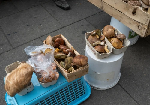 Zbierasz grzyby na sprzedaż? W tych przypadkach trzeba zapłacić podatek