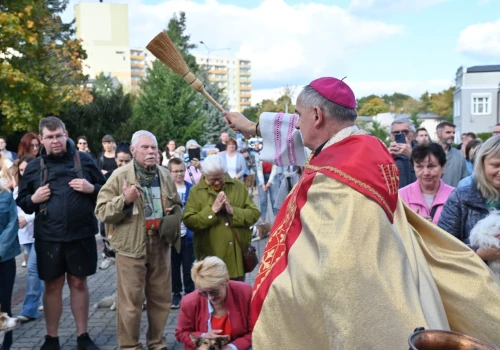 Psy, koty, króliki i chomiki przed bydgoskim kościołem. Bp Włodarczyk pobłogosławił zwierzęta