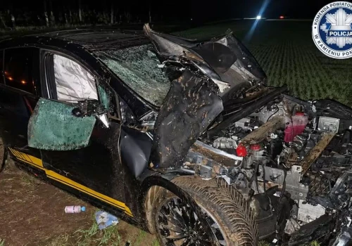 Nietrzeźwy kierowca rozbił auto. Z pojazdu uciekł pies