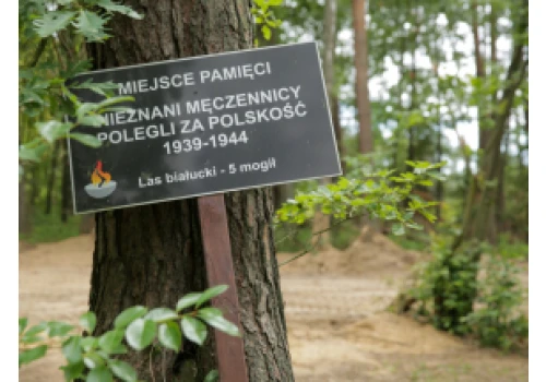 Naukowcy zakończyli badania miejsca ukrycia szczątków ofiar niemieckiego obozu KL Soldau