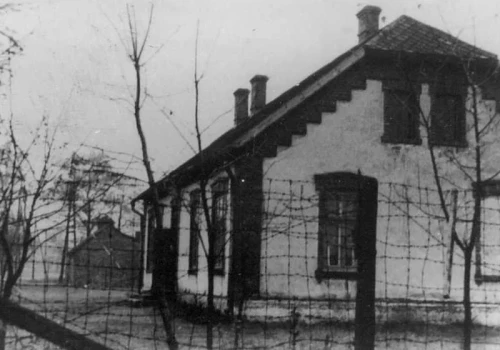 Masakra w cieniu Auschwitz. Kobiety były mordowane pałkami i siekierami