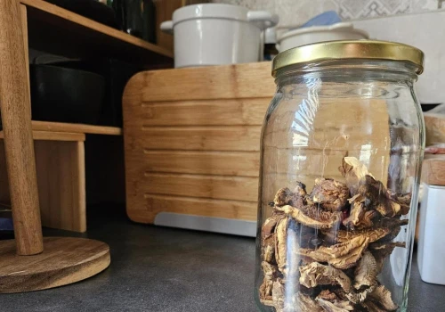 Suszysz grzyby w piekarniku w ten sposób? Uważaj, szybko spleśnieją