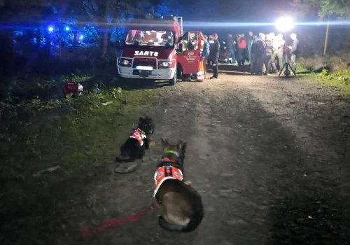 Starsza kobieta nie wróciła z grzybobrania. Trwają poszukiwania na Sądecczyźnie