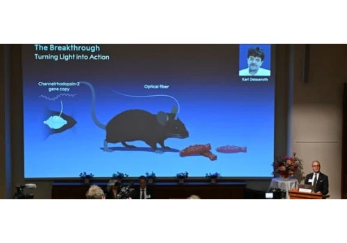 Neurony sterowane światłem. Nobel 2026 za optogenetykę