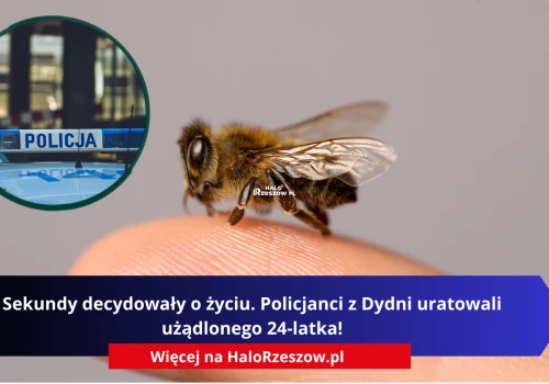 Sekundy decydowały o życiu. Policjanci z Dydni uratowali użądlonego 24-latka!