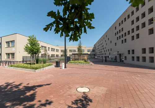 Mieszkańcy wrocławskich Wojszyc głośno protestują. Błagają o nową szkołę na Jagodnie