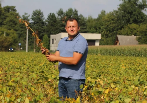 Ceny soi w skupie wzrosły o prawie 40%. Jaki jest poziom opłacalności?