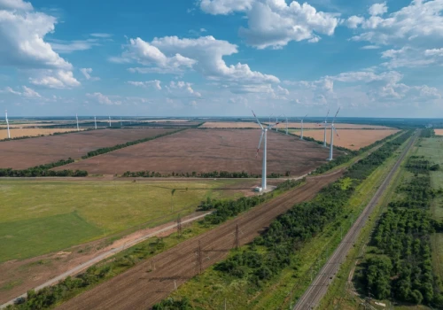 Jak ograniczyć wpływ farm wiatrowych na ptaki?
