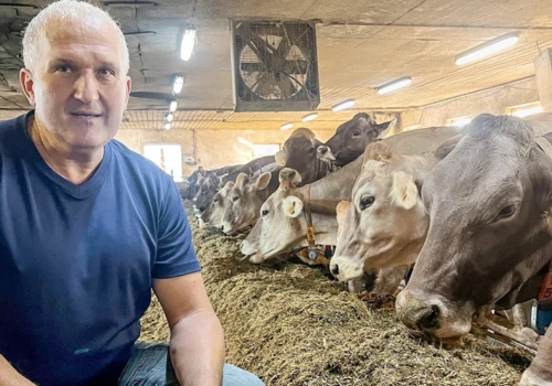 Susza zabrała mu połowę trawy. Podwoił udział kukurydzy, a krowy nadal dają 40 litrów mleka