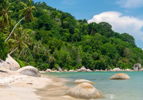 Wczasy w Malezji za 4519 PLN 🌴⛱️ Dreamlinerem do Azji i Flamingo Hotel by the Beach Penang