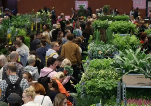 Nadchodzi jesienna edycja Festiwalu Roślin w Krakowie