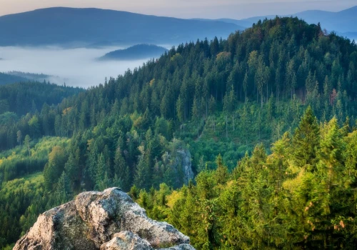 Turyści jadą w Karkonosze, a niedaleko kryje się taka perełka. Jesienią jest najpiękniej