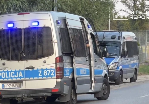 Oszustwo internetowe na części samochodowe. 21-latkowi grozi 8 lat więzienia