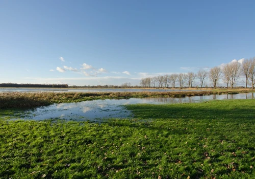 Czaszka nabita na drewniany pal przetrwała tysiące lat. Poruszające odkrycie niemieckich archeologów