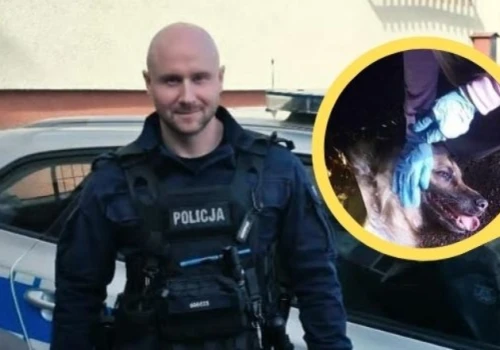 Pies konał na jezdni. Uratowali go policjanci