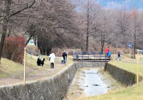 Psi park czy pumptrack? Spór o Bulwary - mieszkańcy protestują przed głosowaniem
