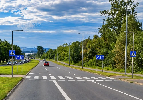 20-letni kierowca BMW nie trafi do aresztu. Jest ciąg dalszy historii śmierci 50-latka na pasach