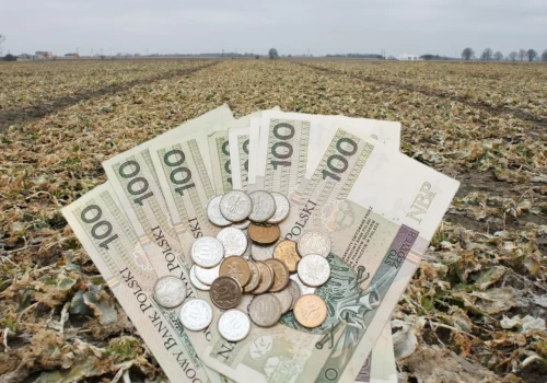 Nowe zasady odszkodowań dla rolników. Ten zapis może obniżyć wypłatę