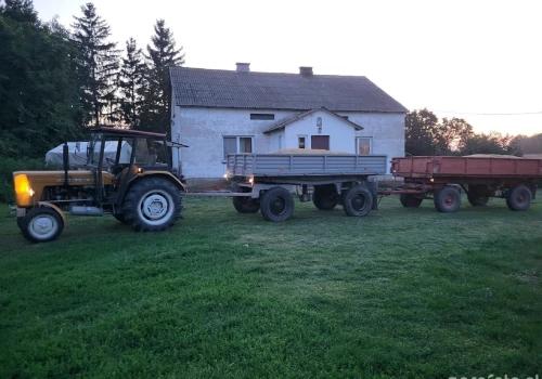„Kolejki dużo większe jak w żniwa”. Co się dzieje z cenami pszenicy?