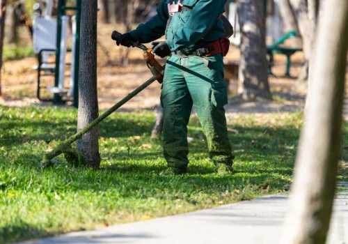 Kosiarki pod oknem w październiku. Wygląda na pomyłkę, ale to konieczne