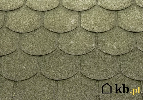 Wygląda jak dachówka, a kosztuje od około 20 zł/m². Ten materiał można ułożyć samemu
