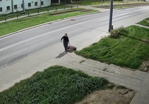Martwy pies w walizce porzuconej przy ul. Browarnej. Policja szuka kobiety z nagrania