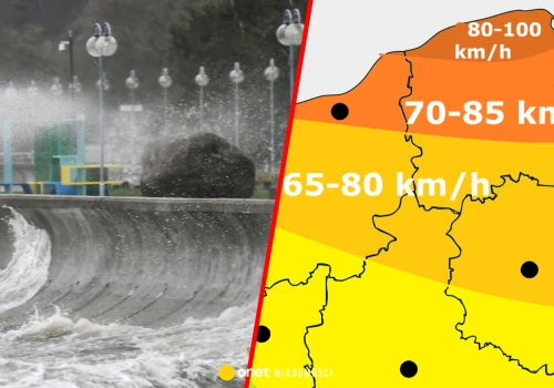 Nadciąga wichura. Powieje aż 100 km na godz. W tych regionach będzie niebezpiecznie