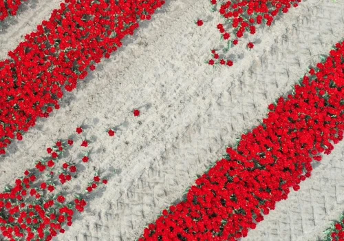 Polskie firmy zostają na krajowym rynku. W tle lęk przed utratą kontroli