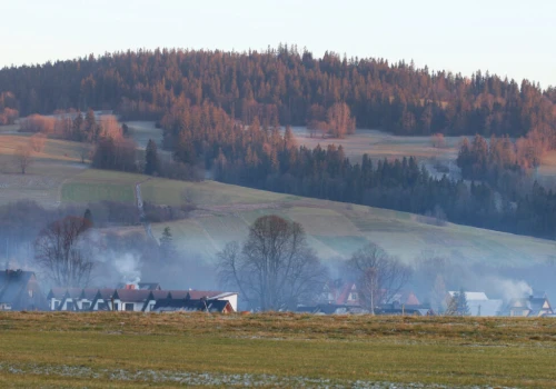 Smog atakuje płuca, serce i mózg dziecka. Rodzice chcą rzetelnych informacji