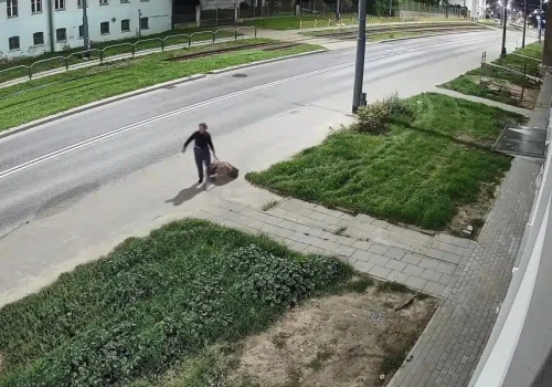W środku nocy ciągnęła martwego psa po chodniku. Teraz szuka ją policja