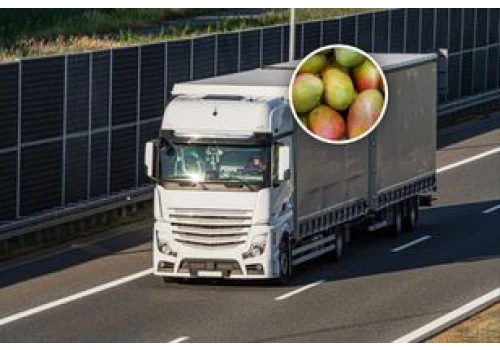 Transport z Indii zatrzymany. Oto co miało trafić do sklepów w Polsce