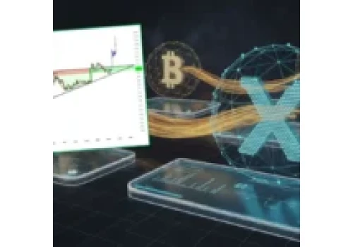 XRP warte nawet 50 USD. Analityk ujawnia scenariusz wzrostu kryptowaluty o 3200%
