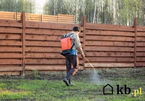 Mech wraca mimo grabienia? Trawnik może mieć zupełnie inny problem