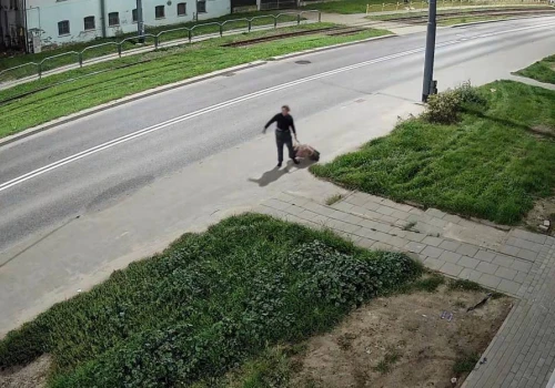 Wyrzuciła psa na śmietnik. Sprawę bada policja