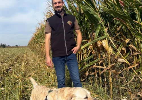 Zbiera 15 ton kukurydzy z hektara i sprzedaje po 700 zł. Ile zostaje mu w kieszeni?