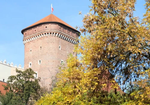 Tłumy ruszą na Wawel. Przez cały listopad zwiedzanie za darmo