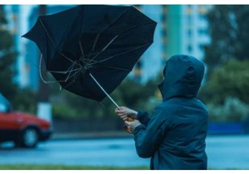 Silny wiatr uderza w Śląsk. IMGW ostrzega w sumie siedem województw – miejscami porywy do 105 km/h