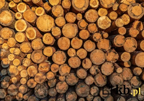 Wszyscy wrzucają to do pieca, myśląc, że zaoszczędzą. A to prosta droga do pożaru i gigantycznych strat